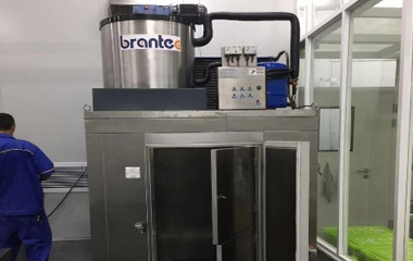 食品加工廠按裝片冰機 食品加工廠按裝片冰機